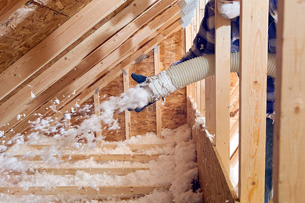 Best Garage Insulation  in Highlands, TX